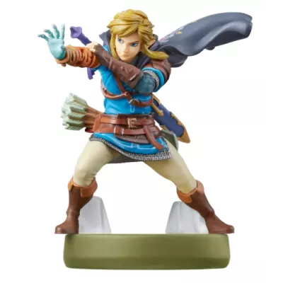 Nintendo Link (Tears of the Kingdom)