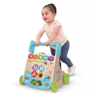 VTECH SUPER TROTTEUR NATURE INTERACTIF (JOUET AVEC PARTIE BOIS CERTIFI