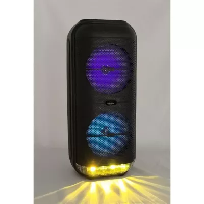 Enceinte Karaoké lumineuse - INOVALLEY - KA22-BTH - Bluetooth V5.0 -