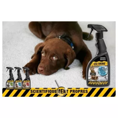 CSI URINE Spray 500ml - Pour chien et chiot - Élimine les odeurs