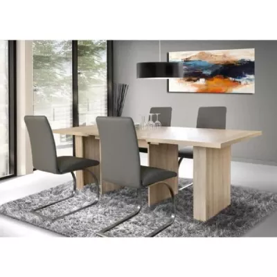 Stretch dining table from 6 to 12 people contemporary decorating style