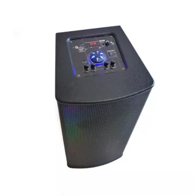 Enceinte lumineuse karaoké Bluetooth 800W - INOVALLEY MS05XXL