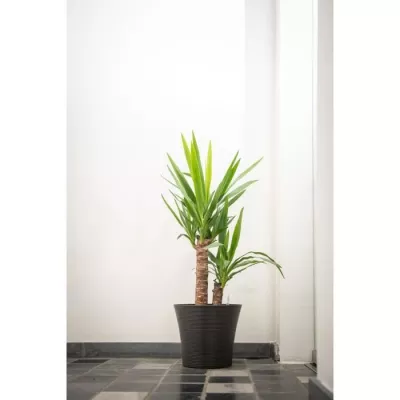 Pot de fleurs - GARDEN ID - Green Care Sense Noir-Anthracite - 30 x 27 cm - Garantie de 10 ans - 100% recyclé - Résistance UV