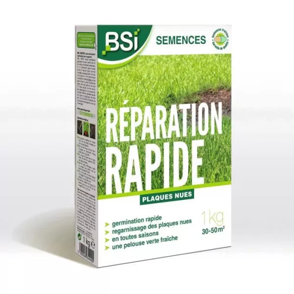 BSI - Grass Seeds - Fast Repair - With Protector Coating - High quality - up to 50m2 - 1Kg