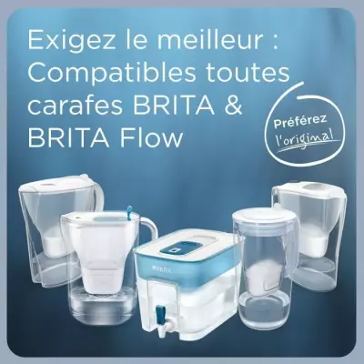 BRITA Cartouche Filtre Eau Robinet MAXTRA PRO Expert anti-tartre Pack de 2