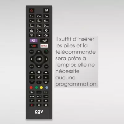 Télécommande de remplacement - CGV - FIDELIO Sony - Pour téléviseurs Sony - Sans programmation - Prete a l'emploi