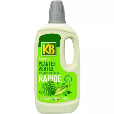 Engrais Rapide Plantes Vertes Et Plantes D'intérieur 1L