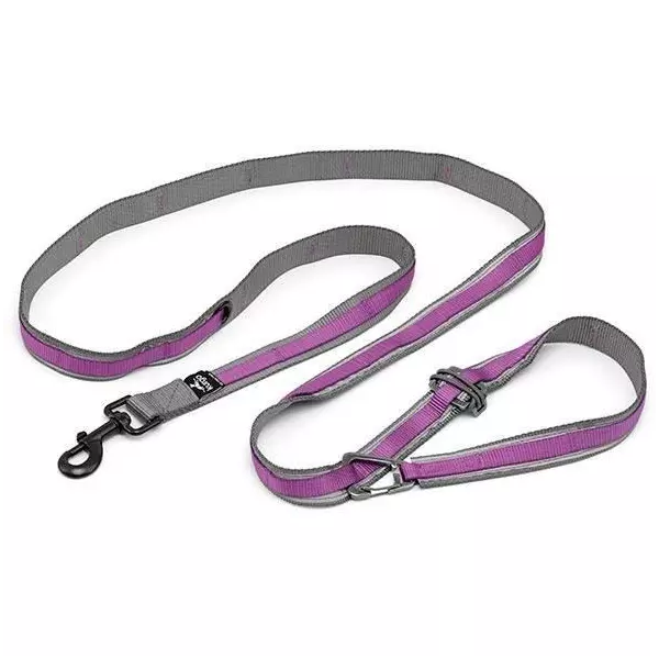 Laisse mains libres - KURGO - QUANTUM - 6 positions - 120 a 180 cm - Violet