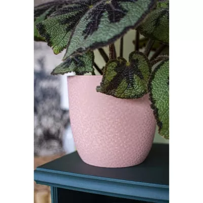 EDA Cache-pot OPALE Ø 29,5 cm - Volume 14,8 L - Rose nude