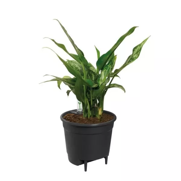 Elho Self-watering Insert Pot a fleurs 36 - Noir - Ø 36 x H 35 cm - intérieuraccessoires - 100% recyclé