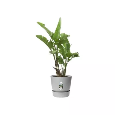 ELHO Greenville Pot de fleurs rondØ 47 x H 44 cm - extérieur - 100 4