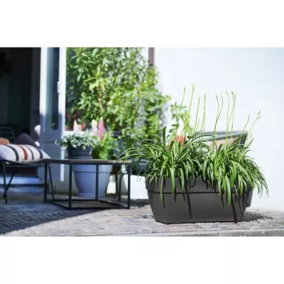 Elho Vibia Campana Bac a fleurs Terrasse 80 - Noir - L 77 x B 35 x H 3