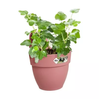 ELHO - Pot de fleurs - Vibia Campana Easy Hanger Small - Rose Poussier