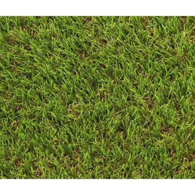 Rouleau Gazon Artificiel - EXELGREEN - Natura 2D - 38mm - 1 x 5 m