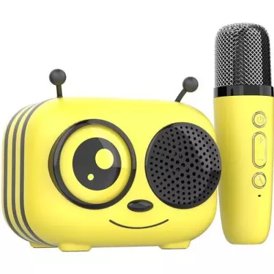 Kit karaoké / Enceinte Bluetooth et micro sans fil - CGV - MAYA, Effe