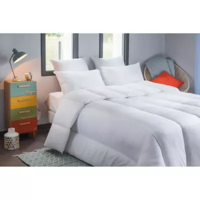 BLANREVE Couette tres chaude Percale - Anti-acariens - 420g/m² - 200x