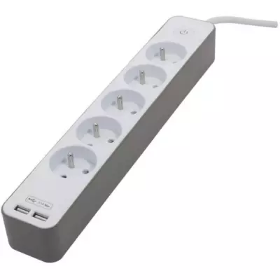 CHACON Bloc multiprise 5 prises 16 A avec 2 ports USB et câble 1,5 m