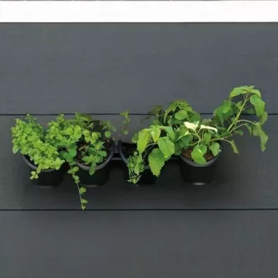 Kit mural de Jardinière - 4 pots (1 L) - Noir - H 15 x L 60 cm