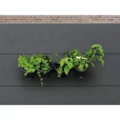 Kit mural de Jardinière - 4 pots (1 L) - Noir - H 15 x L 60 cm