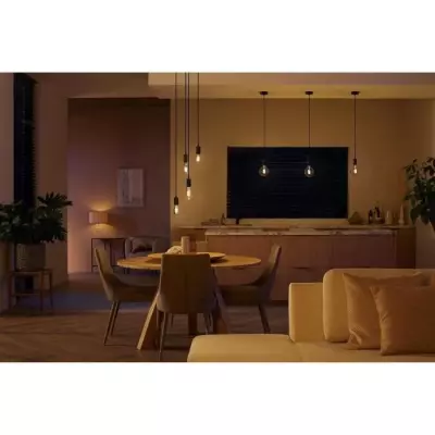 Philips Hue White Ambiance, ampoule LED connectée E27 Filament ST64,