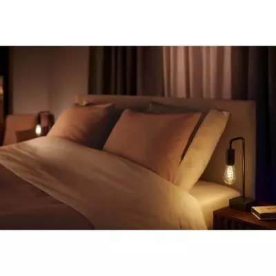 Philips Hue White Ambiance, ampoule LED connectée E27 Filament ST64,