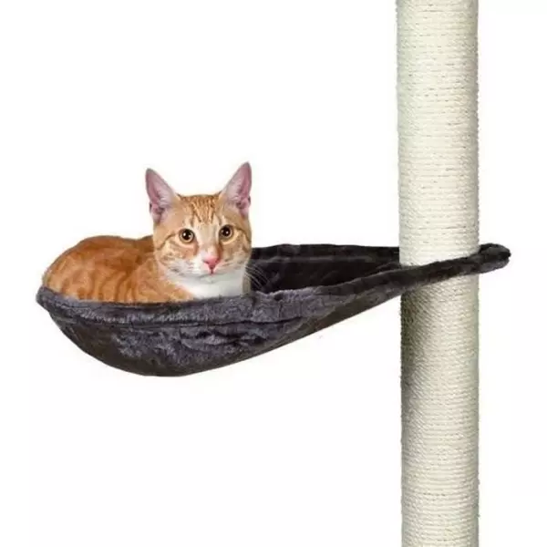 TRIXIE Hamac - Nid XL pour griffoir pour chat gris platinium peluche ø 40 cm