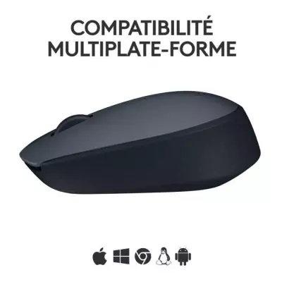 Souris - Sans fil - Logitech - M170 - Ambidextre - Gris