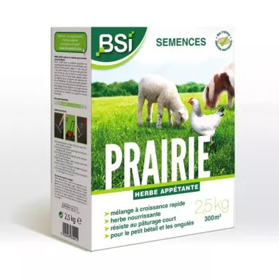 BSI - Semences de Gazon - Prairie - Haute qualité - Grande Surface -