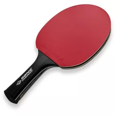 Raquette de tennis de table - SCHILDKRÖT - CARBOTEC 3000