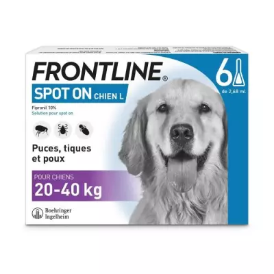 FRONTLINE Spot On Chien L - 20 a 40 kg - 6 pipettes- Puces tiques et p