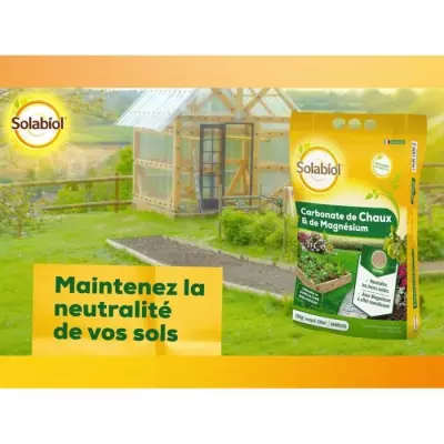 SOLABIOL SOCHAUX10 Carbonate De Chaux Et De Magnesium 10kg, Efficace