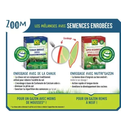 Semences Gazon KB KREGFAC100 - Super Regarnissant 2 kg - Pour terrains