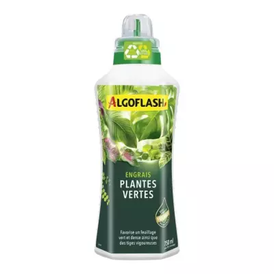 Engrais Plantes Vertes 750 mL