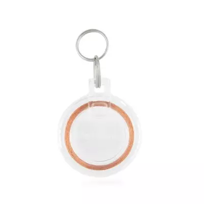 PetSafe - Clé de collier pour Chatiere avec puce électronique, Elég