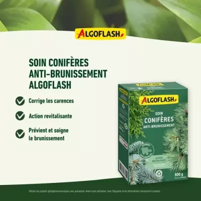 Soin Coniferes anti-brunissement - ALGOFLASH NATURASOL NATURASOL - 800