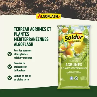 ALGOFLASH - Terreau Agrumes et Plantes Méditerranéennes 6 L