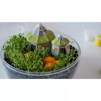 Terrarium Harry Potter - CLEMENTONI - Cabane de Hagrid a reproduire