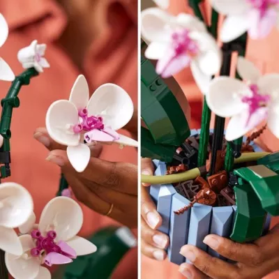 LEGO Icons 10311 L'Orchidée Plantes de Fleurs Artificielles d'Intéri