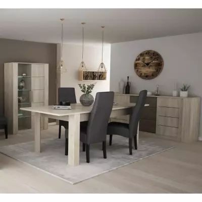 DEMEYERE Ensemble Séjour Table a manger 170 cm + Enfilade 2 portes +