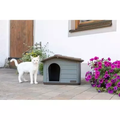 KERBL Niche extérieure en plastique pour chats ou chien Taille M - 75