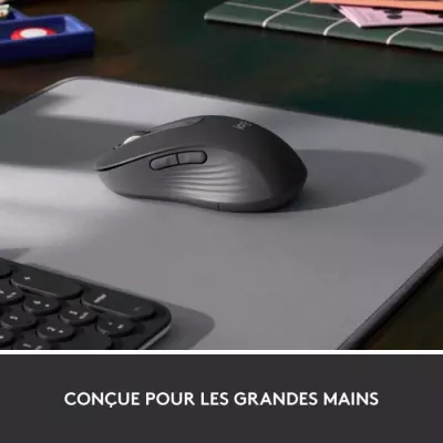 Souris - Sans fil - Logitech - M650 - Droitier - Graphite