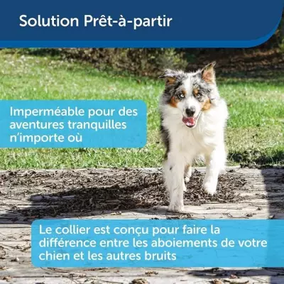 PetSafe - Collier anti aboiement pour Chien, Stimulation Eléctrostati