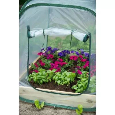 Serre de jardin Pop-Up - NATURE - 100x100x100 cm - PE transparent - Pr