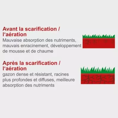 Scarificateur électrique SC32 - 1500 W Largeur de travail 32 cm Bac d