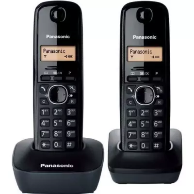 Panasonic KX-TG1612FRH | Téléphone Numérique Sans Fil, Base + 2 Com