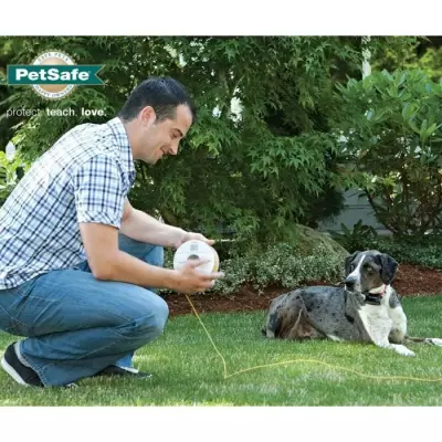 PetSafe - Systeme de Clôture Anti-Fugue pour Chien avec 150 metres de