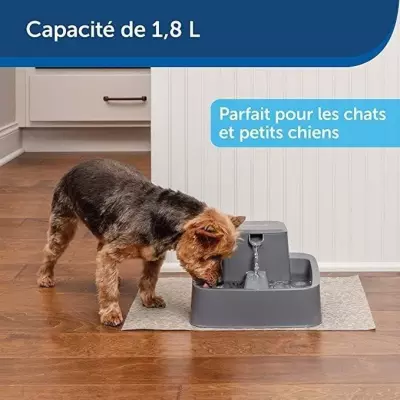 PetSafe - Fontaine a Eau Drinkwell pour Animaux - Idéale pour Chat/Pe