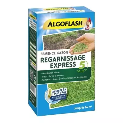 ALGOFLASH - Gazon regarnissant express 5 jours 1kg