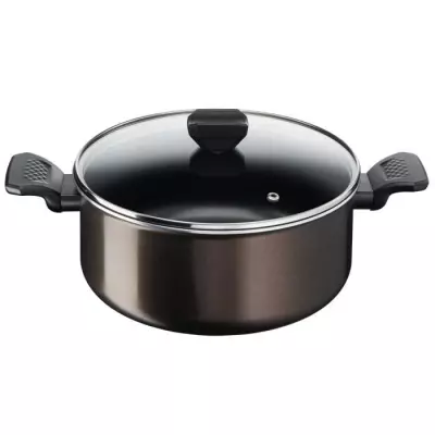 TEFAL Easy Cook & Clean Faitout 24 cm + couvercle verre, Non induction