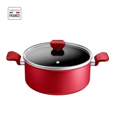 TEFAL Faitout 24 cm, Induction, Revetement antiadhésif, Couvercle ver